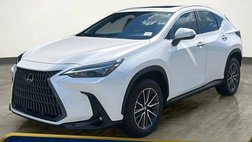 2025 Lexus NX 250 Premium