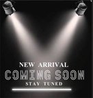 2013 Ford Taurus Police Interceptor