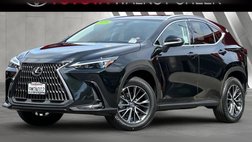 2025 Lexus NX 350h Premium