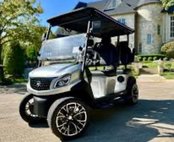 2025 Other Makes LSV