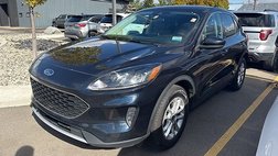 2021 Ford Escape Hybrid SE