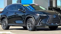 2024 Lexus NX 350 Premium