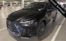 2025 Lexus NX 250 Premium