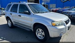 2007 Ford Escape XLT