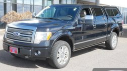 2010 Ford F-150 Platinum