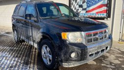 2011 Ford Escape Limited