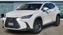 2025 Lexus NX 250 Premium