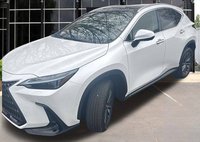 2025 Lexus NX 350h Luxury