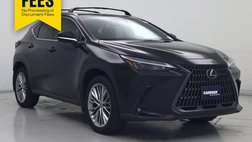 2025 Lexus NX 350h Premium