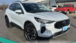 2026 Ford Escape Platinum