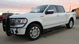 2014 Ford F-150 Platinum