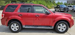 2009 Ford Escape XLT