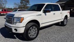 2010 Ford F-150 Platinum