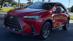 2024 Lexus NX 250 Base