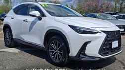 2025 Lexus NX 350 Premium