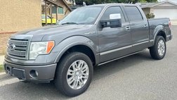 2010 Ford F-150 Platinum