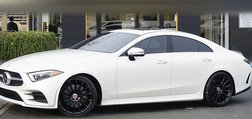 2019 Mercedes-Benz CLS-Class CLS 450