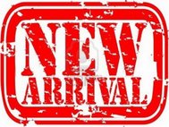 2016 Ram Ram Pickup 1500 Sport