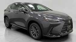 2025 Lexus NX 350 Premium