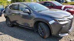 2024 Lexus NX 250 Base