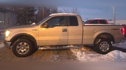2010 Ford F-150 XLT