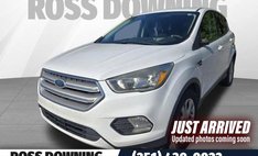 2019 Ford Escape SE
