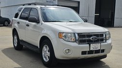 2010 Ford Escape XLT