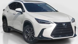 2024 Lexus NX 250 Premium