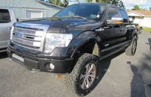 2013 Ford F-150 Platinum
