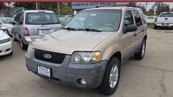2007 Ford Escape XLT