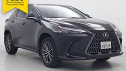 2024 Lexus NX 250 Base