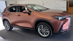 2025 Lexus NX 350h Premium