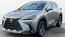 2024 Lexus NX 350 Premium