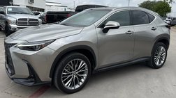 2022 Lexus NX 350h Luxury