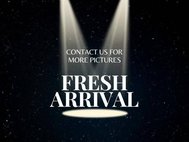 2006 Hyundai Tucson GLS