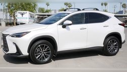 2025 Lexus NX 350h Premium