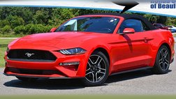 2019 Ford Mustang EcoBoost