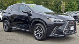 2025 Lexus NX 350 Premium
