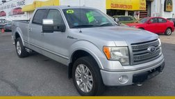 2010 Ford F-150 Platinum