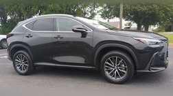 2025 Lexus NX 350h Premium
