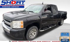 2009 Chevrolet Silverado 1500 Work Truck