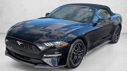 2019 Ford Mustang EcoBoost
