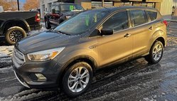 2019 Ford Escape SE