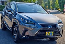 2020 Lexus NX 300h Base