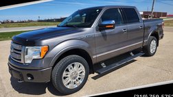 2010 Ford F-150 Platinum