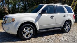 2010 Ford Escape XLT