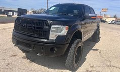 2013 Ford F-150 Platinum