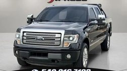 2014 Ford F-150 Platinum