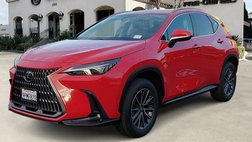2025 Lexus NX 250 Base