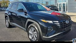 2024 Hyundai Tucson Hybrid Blue